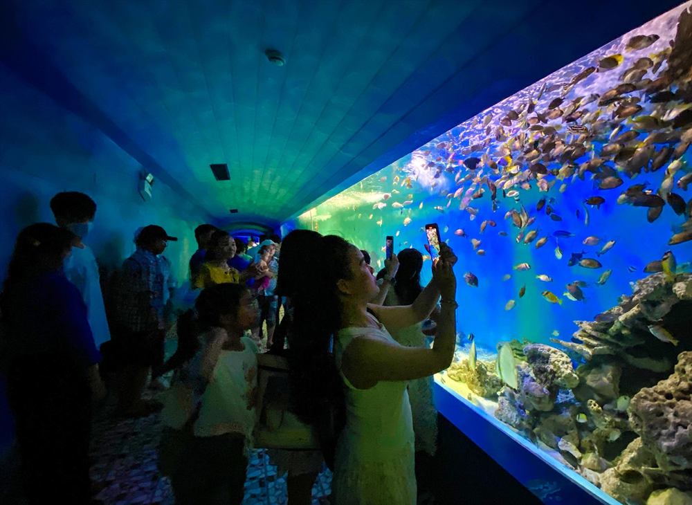 Getting to the museum is easy by taxi, motorbike, or local bus with scenic coastal routes (Source: Internet)